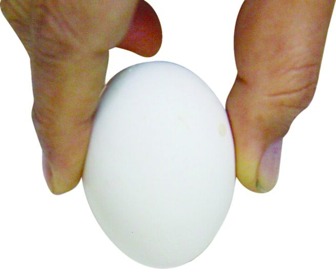 图／本报资料照片