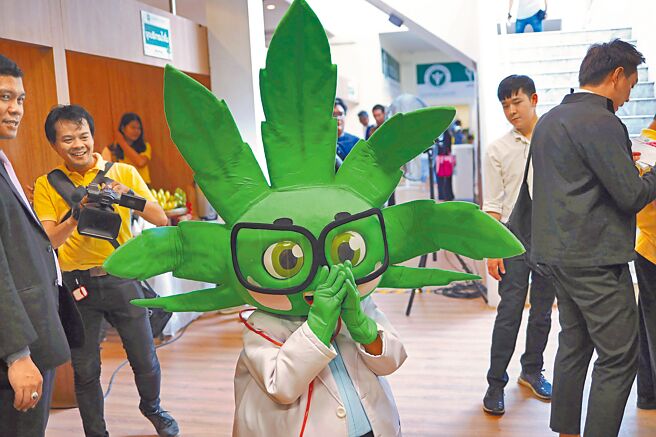 高检署强调，泰国去年将娱乐性大麻合法化，呼吁国人赴泰旅游时，勿侥幸接触大麻以免返国后触法。图为多年前泰国官方医用大麻诊所启动时的画面。（路透）