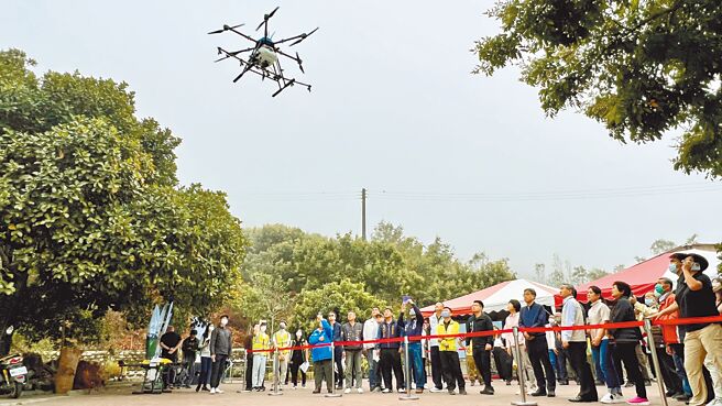 台南防治荔枝椿象，首创无人机施放平腹小蜂卵片「以虫克虫」。（张毓翎摄）