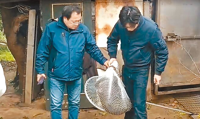 （图／民眾提供）