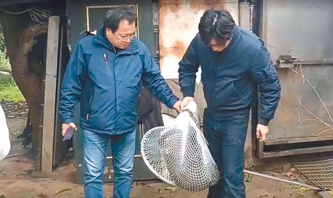 桃园脱逃狒狒死亡2日后，六福村改口承认为自家脱逃而出的。(图／桃园市农业局)