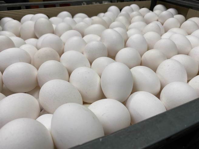 進口平價雞蛋昨日於量販通路販售，短短時間就被橫掃一空。（資料照／李柏澔）