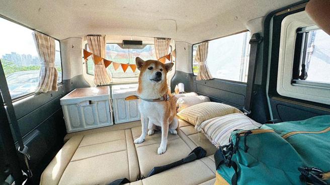 響應「國際寵物日」，VANTEL露營車推出露營車毛孩出遊方案，請毛爸媽與毛孩一同自駕出遊。（圖／VANTEL露營車提供）