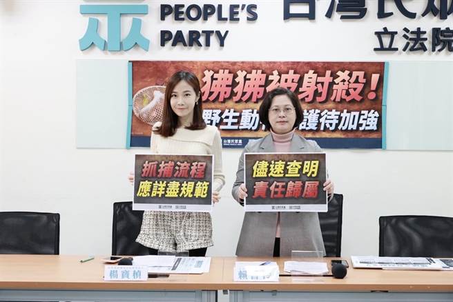 民眾黨立法院黨團副總召賴香伶、黨團副主任兼發言人楊寶楨今（30）日召開記者會，呼籲檢調盡速查明責任歸屬，農委會也應針對誘捕動物制定SOP。（民眾黨團提供）