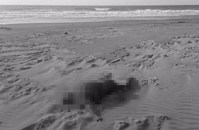 西部浮尸潮内幕曝光！越南人偷渡集体遇难 ，追人蛇集团。(中时资料库)