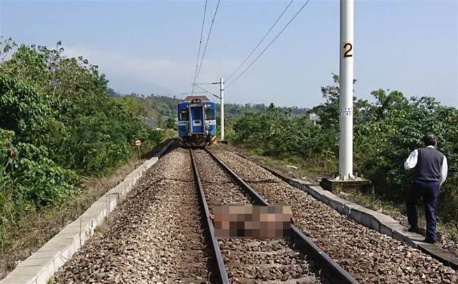 花东线经常有牛只闯入铁轨撞列车事件，图为过去牛只撞区间车事故照片。(中时资料库)