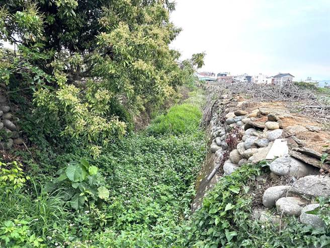 大雅区中央支线七轮区中排护岸上游崩解滑动，将进行整治。（陈淑娥摄）