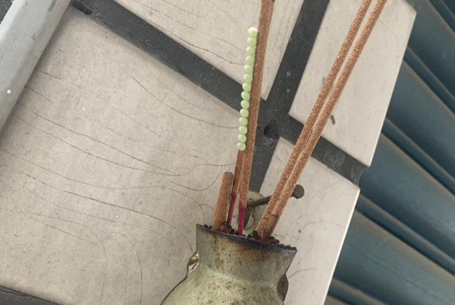 一名网友在香炉的线香上发现整排「绿色珠珠」黏在上头，画面相当有趣吸睛，他一眼就认出是「荔枝椿象」的卵。（翻摄自脸书「路上观察学院」）