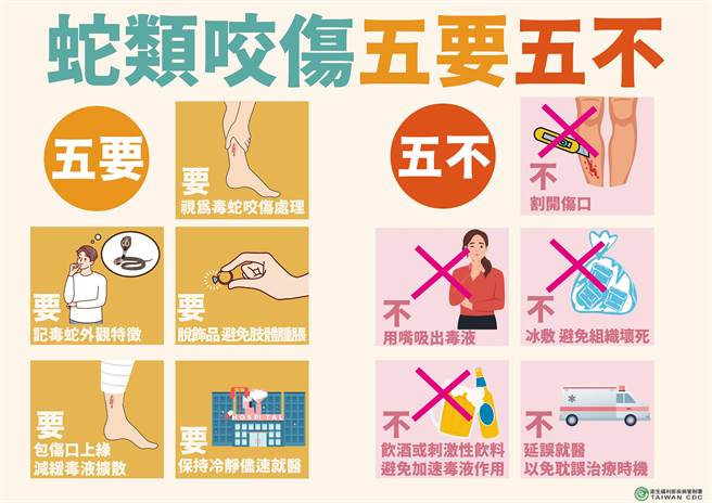 疾病管制署提醒，如不慎被毒蛇咬伤，应牢记「五要五不」原则。（疾管署提供）