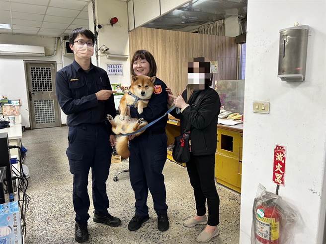 ▲聰明的柴柴在走失後，跳上好心民眾機車，「搭便車」至派出所，找回主人。（基隆市警局提供／徐佑昇基隆傳真）