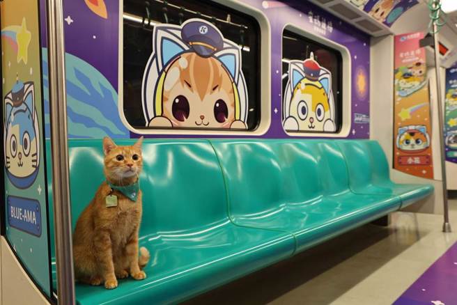 高捷期間限定的「蜜瑪」聯名彩繪列車。（高捷公司提供／崔正綱高雄傳真）