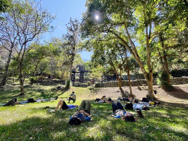 森林瑜珈時，老師邀請學員躺下，專注伸展下半身。（東勢林管處提供）