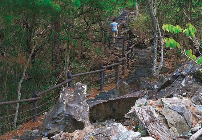 和平區谷關捎來步道約1k處2棵大樹，疑因受到連日下雨影響，今天被發現倒塌橫在步道上。（示意圖／參山處提供、王文吉台中傳真）