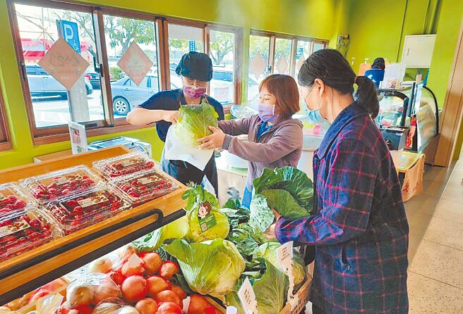 新东阳于关西、西湖、清水、南投跟西螺等5个服务区举办满额送高丽菜活动，欢迎用路人一同共襄盛举挺菜农。（新东阳提供）