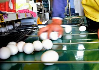 清明連假成買蛋之旅 台東生鮮超市雞蛋一上架就清空