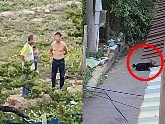 男子用棍棒把躲在樹上的貓打下，任3隻米克斯大型犬朝貓追趕並瘋狂撕咬，貓最後被數隻狗包圍亂咬，肇事男子與友人和1名男童在遠處全程觀望。（翻攝自臉書「爆料公社」）