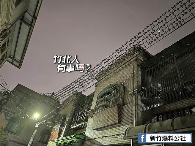 有網友在臉書新竹爆料公社貼出燕子大軍駐紮在東大路某巷內的電線上，每天都輪3班輪流轟炸雨屎，「鳥林彈雨」的根本躲不掉。（摘自新竹爆料公社／陳育賢新竹傳真）
