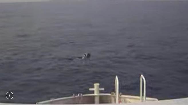 清明連假第3天，遊客持續湧入屏東離島小琉球，但有別於前2天，今天登島遊客有個意外小驚喜，就是在航行途中喜見海豚群游。（藍白航運提供／謝佳潾屏東傳真）