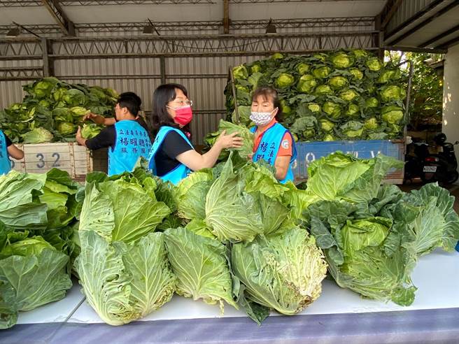 现场一千五百颗高丽菜全部免费赠送，每人凭两张发票即可兑换一颗高丽菜。（孙英哲摄）