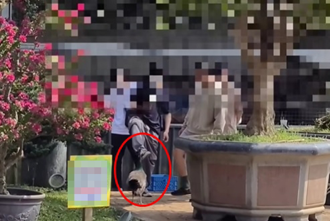 有女子趁连假期间到1处农场游玩，竟然见到有一群年轻人在欺负小动物。（翻摄自脸书爆料公社）