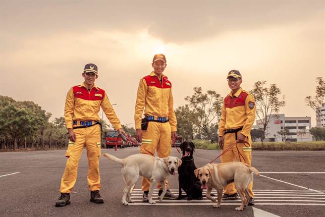 新竹市消防局4隻搜救犬，近日參加IRO國際搜救犬組織評量檢測，均通過認證。（新竹市政府提供／陳育賢新竹傳真）