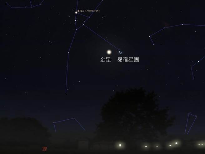 4月11日晚间可于金牛座见到金星合昴宿星团。(南瀛天文馆提供／曹婷婷台南传真)