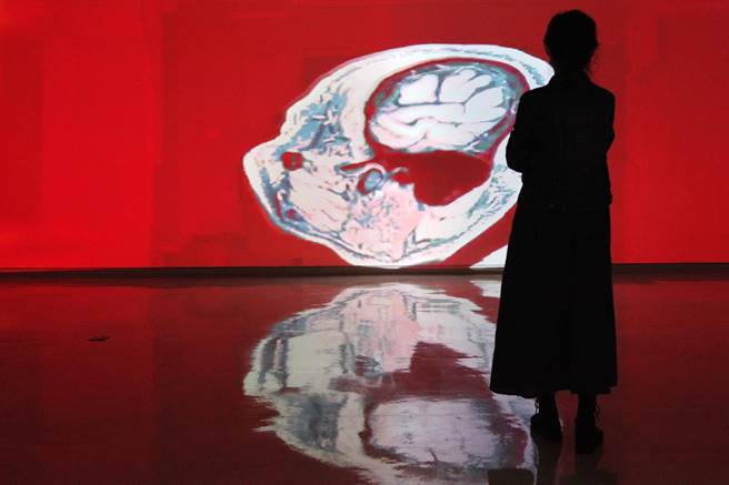 林月霞《D-ementia》。（新北市文化局提供）