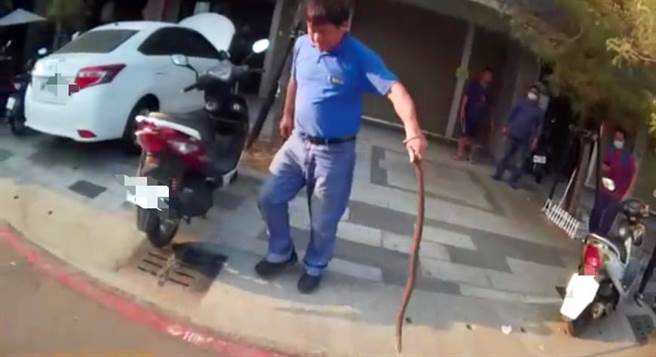 民眾目擊蛇出沒嚇到報警，警方到場發現是一條近1.5公尺長的毒蛇，請農業局協助處理，農業局委外廠商到場，順利將眼鏡蛇捕捉入網，初步檢視確實是眼鏡蛇，詳細物種仍要帶回鑑定後確認。（高雄市警方提供／林雅惠提供）