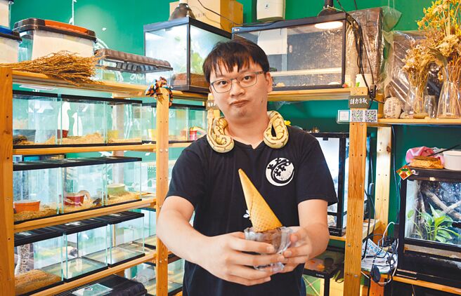 邱進浩結合冰品與爬蟲類的喜好，於屏東市開設一處主要宣導生命教育的冰店。（林和生攝）