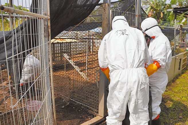 （图／新竹县府提供提供）