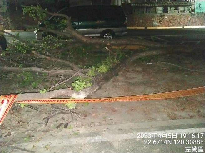 高雄左營微笑公園5日晚間6時許發生民眾在公園內聊天，樹木倒塌壓傷民眾，工務局到場拉起封鎖線。（民眾提供／林瑞益高雄傳真）