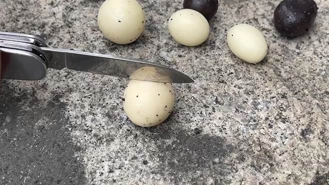 基隆市中正区八斗子山区发现数颗疑似是鸟蛋的物体，经过一番猜测，发现竟然是散落在地上的巧克力。（张志康摄）