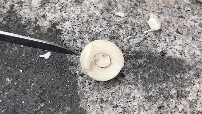 基隆市中正区八斗子山区发现数颗疑似是鸟蛋的物体，经过一番猜测，发现竟然是散落在地上的巧克力。（张志康摄）