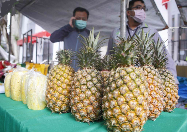 金钻凤梨。（本报系资料照）