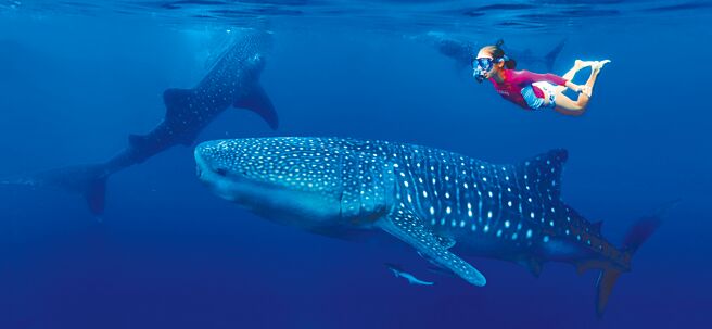 京站即日起至5月14日推出全馆累满2000元，即抽峇里岛ATV四轮越野5日游、BUNGY台湾高空弹跳俱乐部的高空弹跳探险等大奖。（京站提供）