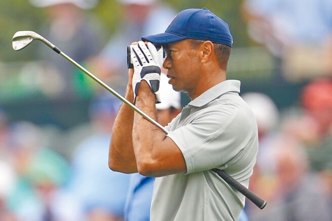 老虎伍兹本周参加美国名人赛。（美联社）