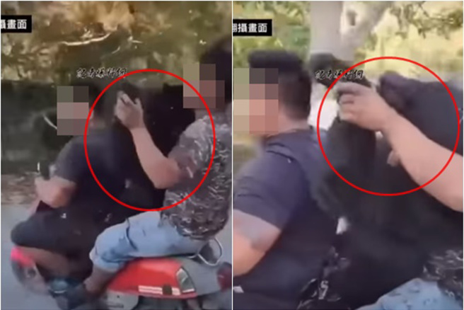 猎杀雾台湾黑熊嚣张「机车三贴」游街示眾 ，检今侦结起诉。(翻摄自记者爆料网)