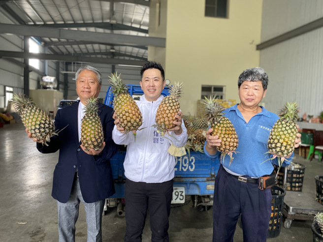 针对凤梨产销问题，陈以信(中)呼吁农委会及早启动因应措施，不要等到价格崩跌才来动作，一切就来不及了。（曹婷婷摄)