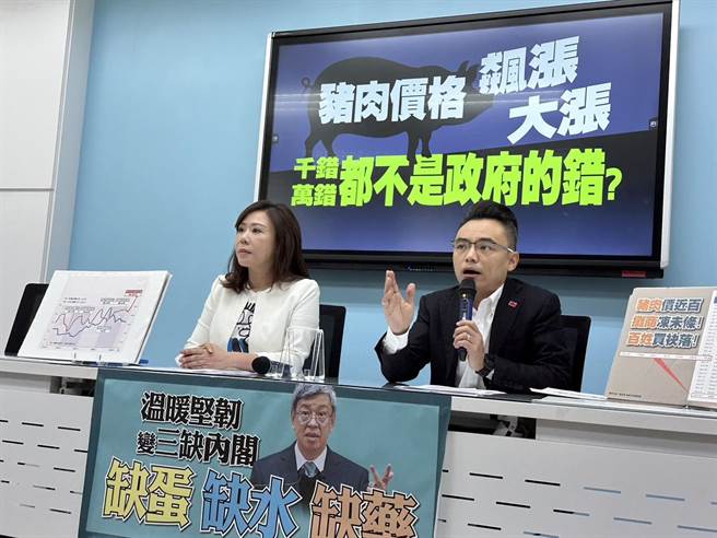 李彥秀今天在立法院國民黨團記者會後受訪表示，蔣萬安是從政黨員，關心初選天經地義，關心不代表「喬事情」，不用過度解讀，蔣有多重角色，可以把很多事情做好。（楊亞璇攝）