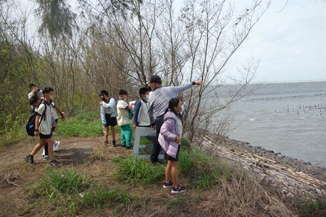 林務局解說員對小朋友說明三條崙保安林的特性，並爬上海堤觀察海岸。（周麗蘭攝）