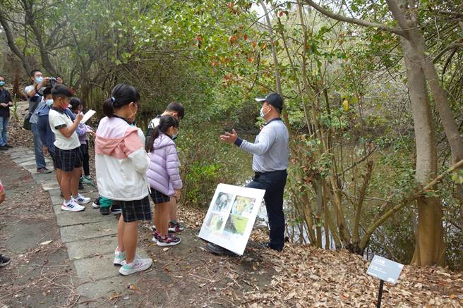 林務局解說員對小朋友說明三條崙保安林的特性。（周麗蘭攝）