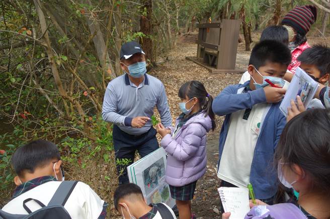林務局南投管理處今（7日）在四湖海岸植物園舉辦體驗活動，讓社區學童及居民認識家鄉保安林的意義及重要性。（周麗蘭攝）