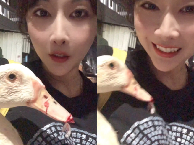 送煞儀式「送肉粽」常需要雞鴨的生血做開光壓煞，法師會在現場讓雞鴨放血流，一名人美心善的簡姓動保人士就經常在送肉粽現場救援垂危動物。（翻攝自臉書「一起幫助雞鴨鵝」）