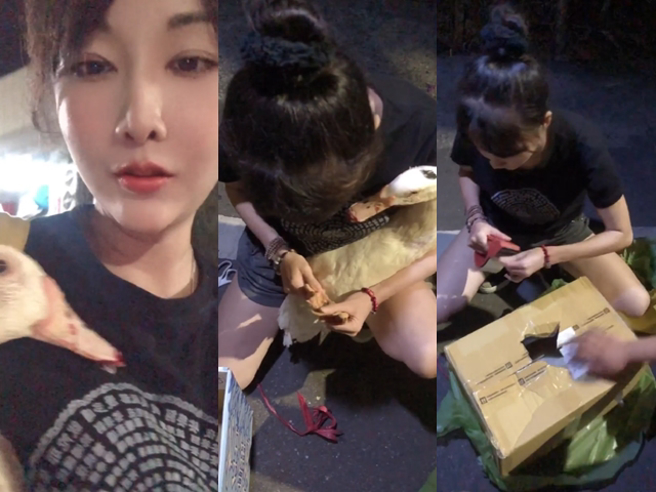 送煞儀式「送肉粽」常需要雞鴨的生血做開光壓煞，法師會在現場讓雞鴨放血流，一名人美心善的簡姓動保人士就經常在送肉粽現場救援垂危動物。（翻攝自臉書「一起幫助雞鴨鵝」）