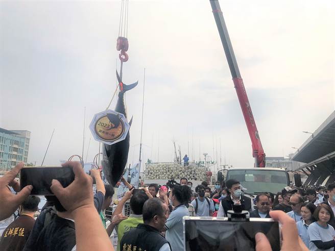  屏东「第一鲔」拍卖会7日下午在副总统赖清德与屏东县长周春米的主持下，最终由经营免税店的澎坊股份有限公司以1公斤1万200元夺标，破歷届拍卖纪录。（谢佳潾摄）