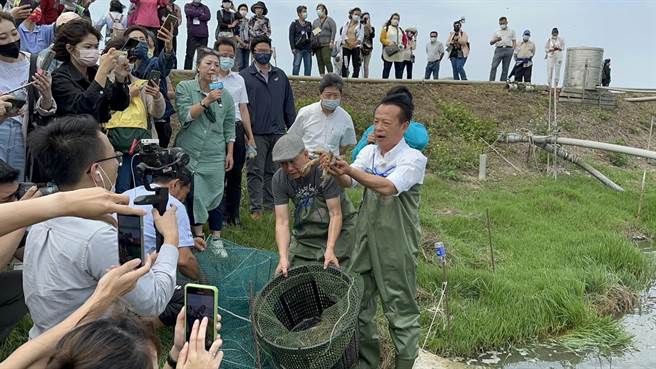 嘉义县政府4月7日于东石乡的渔场举办食鱼体验活动，县长翁章梁（持虾者）与民眾体验收白虾。（邱显诚摄）