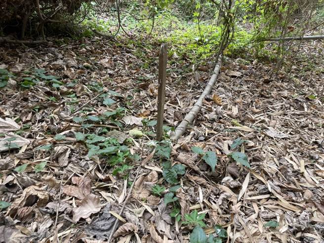 再用管線接水往下方水塔流。（洪靖宜攝）