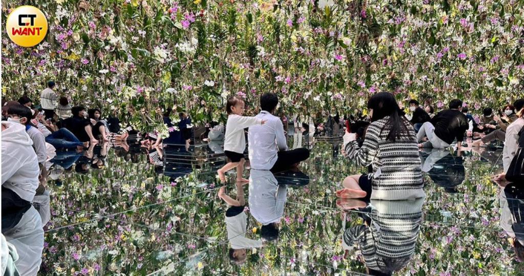 走進以上萬朵蘭花和鏡面構築的「漂浮的花園」展區，既壯觀又絢麗。（圖／邱永鍇提供）