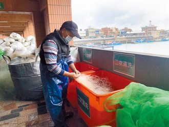 廢漁網再利用率達8成 中市祭獎勵鼓勵漁民回收