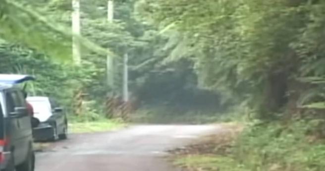 台灣27年前曾發生一起凶殺案，死者的頭顱到現在仍沒找到。（圖／翻攝自驚爆新聞線YouTube）